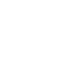 Logo VEZZI